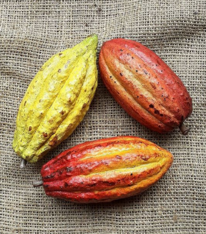 Handcrafted Wooden Cacao Pod by Beltran