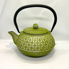Load image into Gallery viewer, Cast Iron Teapots
